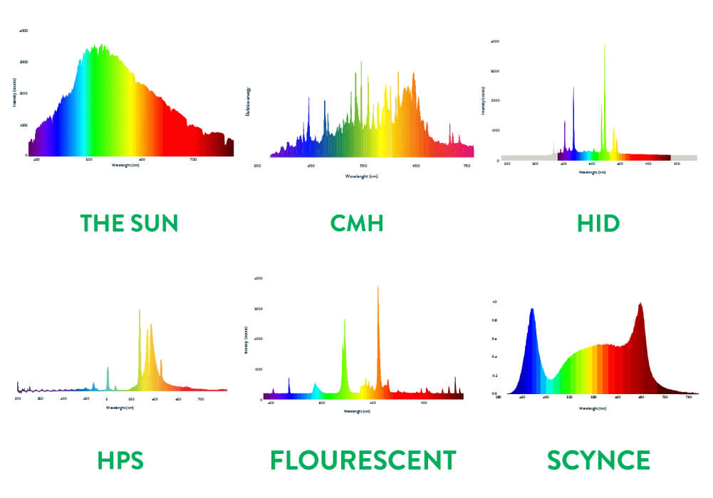 Scynce Led Ligth Spectum Comparison Sun Flourescent CMH HID HPS