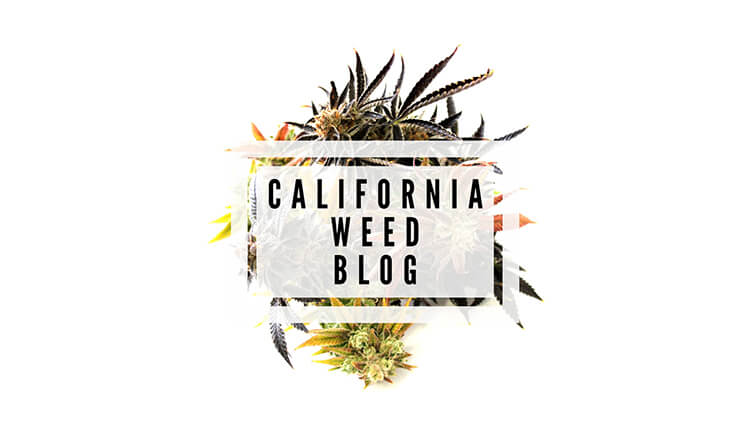 Scynce California Weed Blog Logo