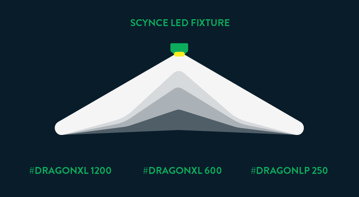 Scynce Led Light Comparison