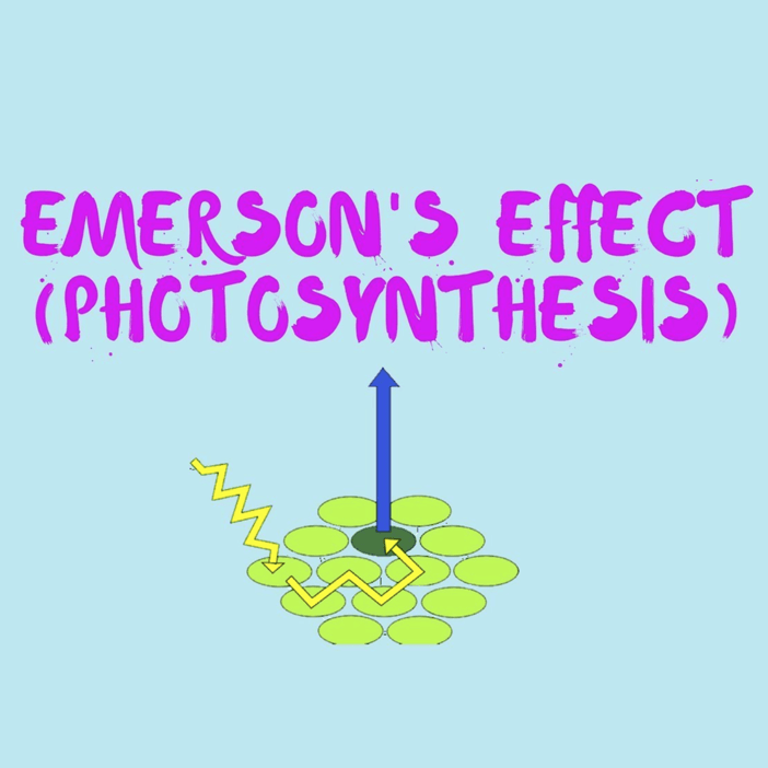 Scynce Led Light Grow Emerson's Effect Photosynthesis