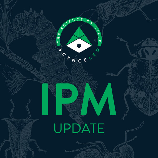 Scynce Led Light IPM Update