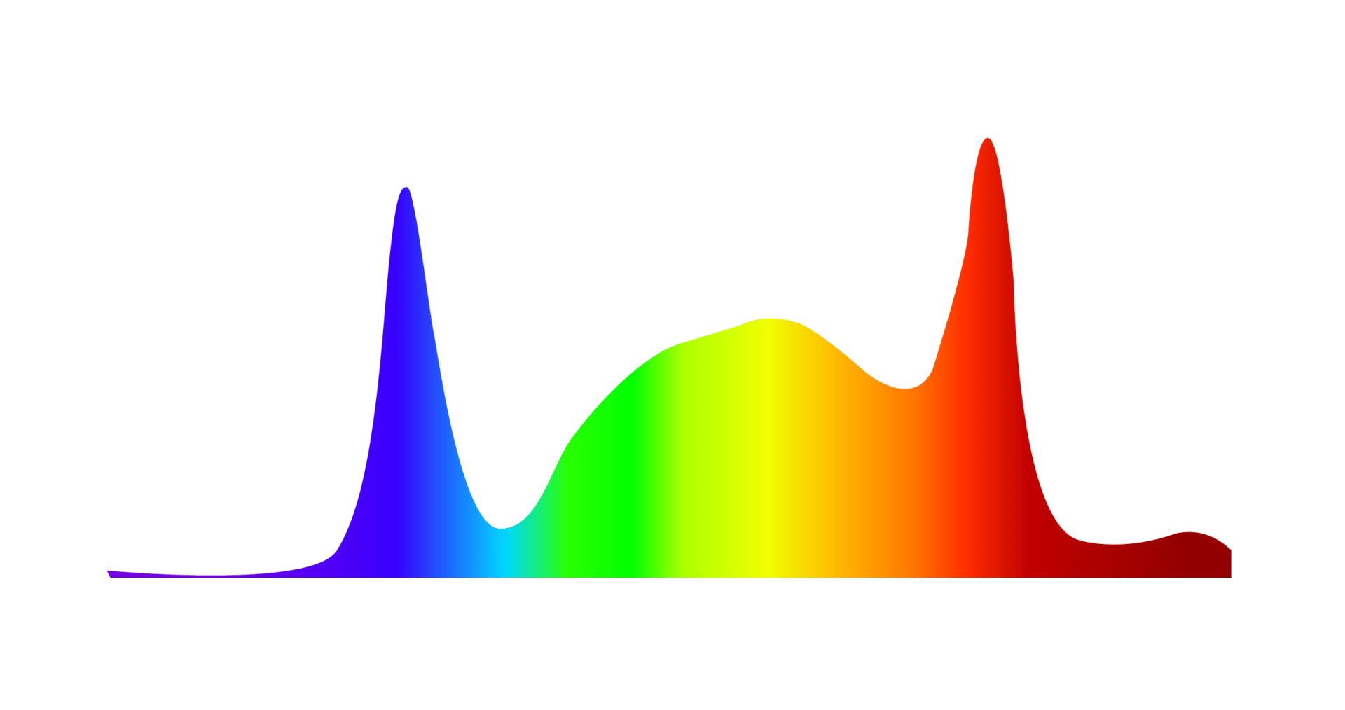 Morphological Spectrum Compact and Bud ScynceLed