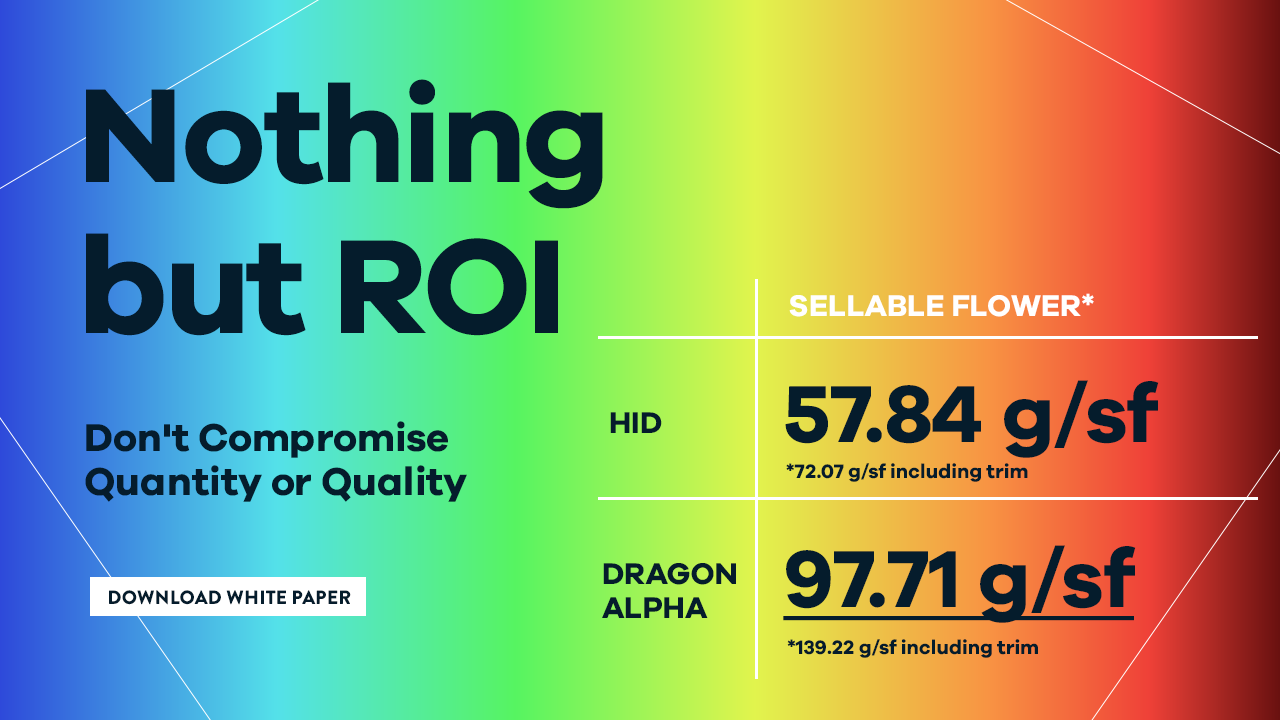 Nothing but ROI, don't compromise quantity or quality