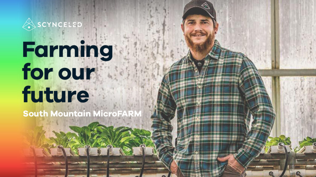 Aquaponics LED Success with South Mountain MicroFARM