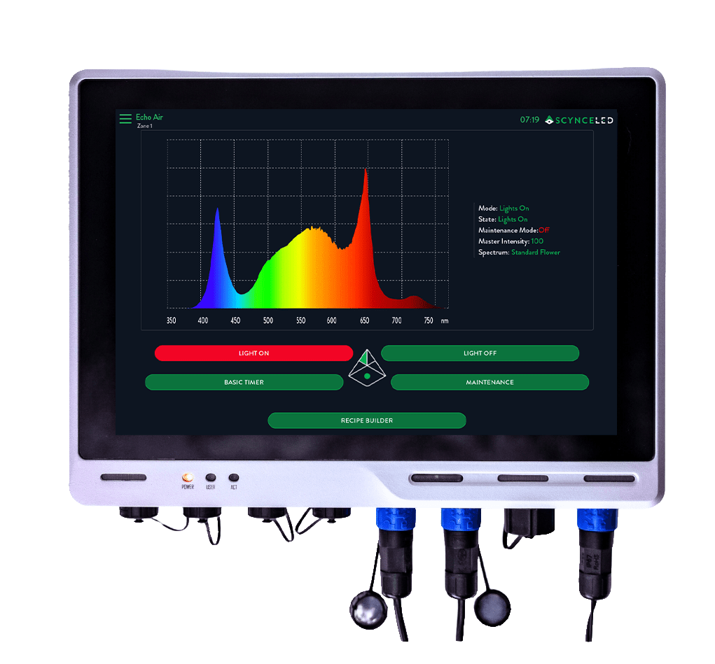 Echo Display - Complete Spectrum Smart LED Lights